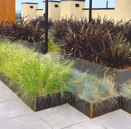 Aquatic-III-Berkeley-CA-Rooftop-Wilshire-Weathering-Steel-GRTs