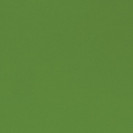 Fern-RAL6025