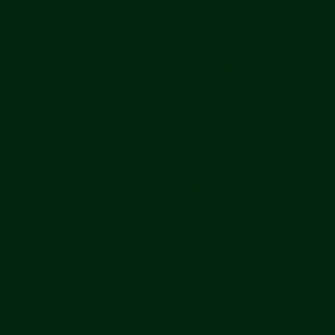 Forest-RAL6009