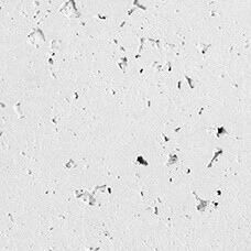 GFRC-Pearl-Travertine-07.29.2023-web