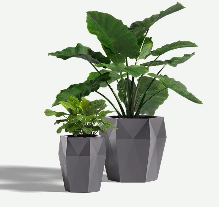 Harlie_FRP_plants_F2F4F2