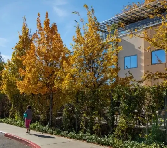 John Muir Walnut Creek_840x598