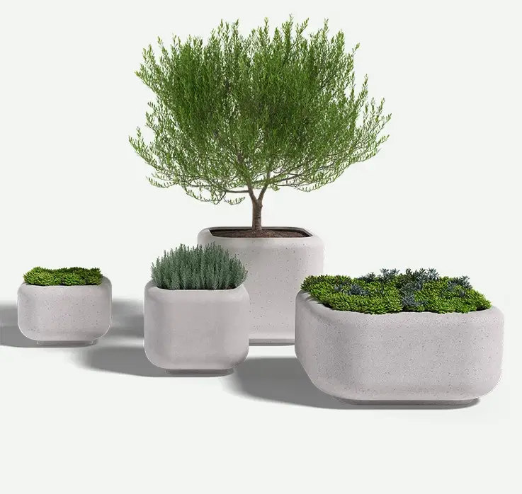 Montara-4_square_group_plants_F2F4F2