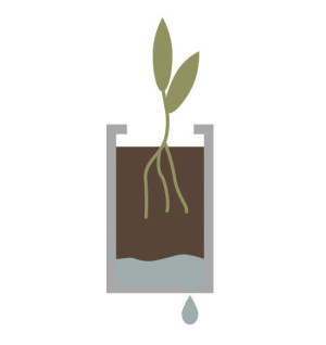 options-drainage