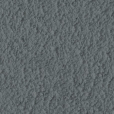 Shadow_RS