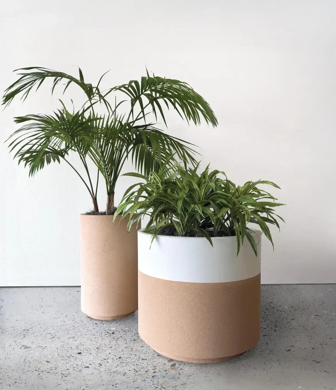 Tournesol Two-Tone Planters in Situ 03.14.2025