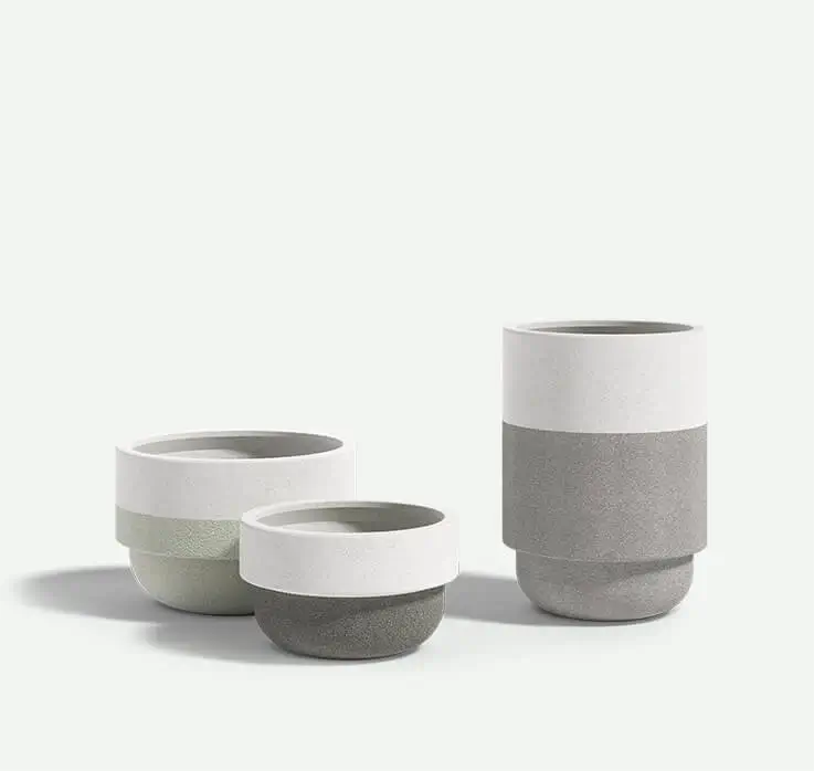 Two-tone_Bolinas_group_F2F4F2