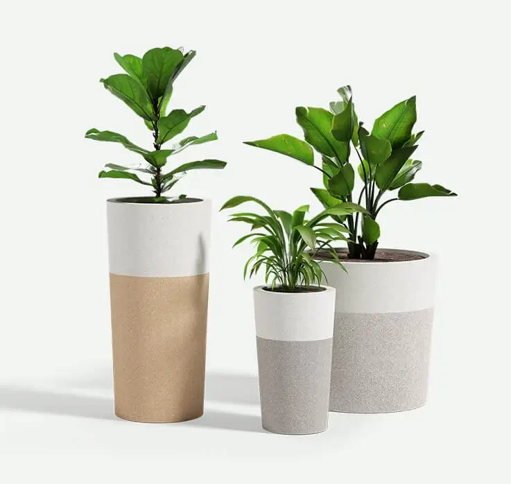 Two-tone_Urban_tall_group_Plants_F2F4F2