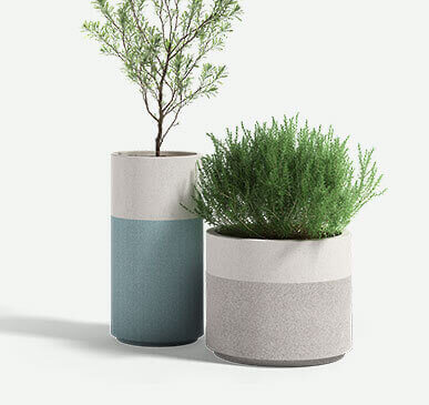 Two-tone_th_Wilshire_group_Plants_WCST_F2F4F2