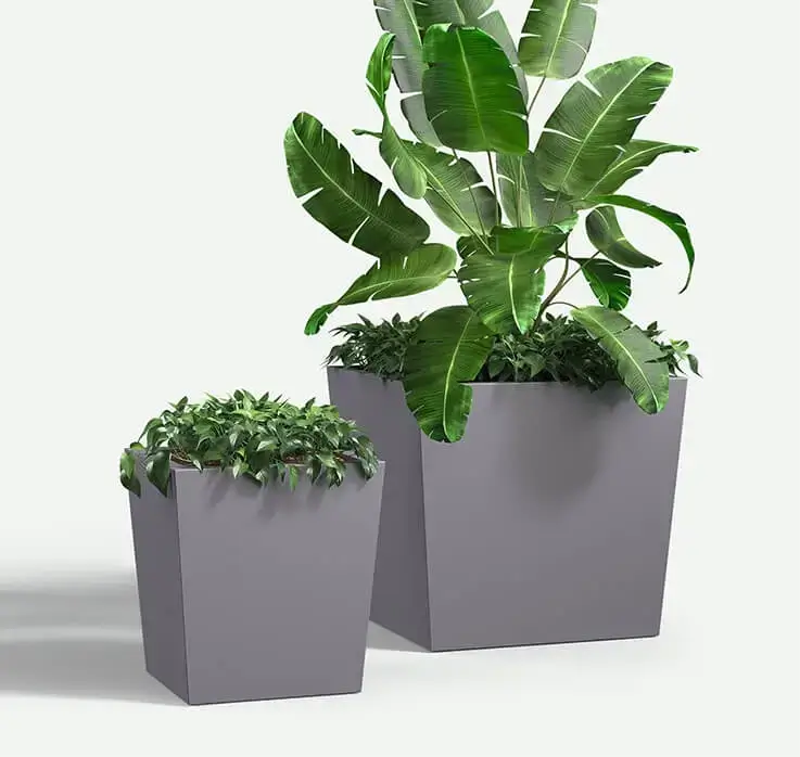 urban_square_group_med_plants_FRP