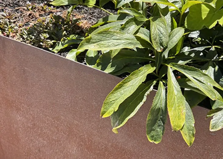 weathering steel