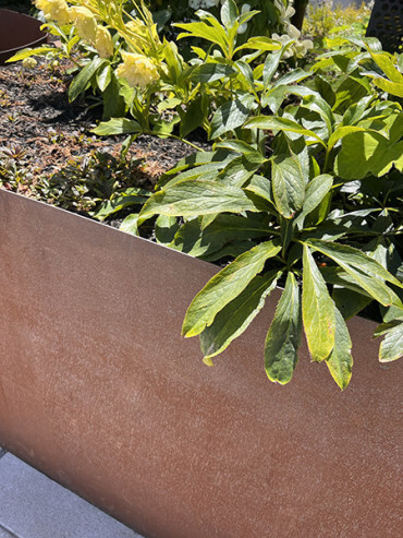 weathering steel