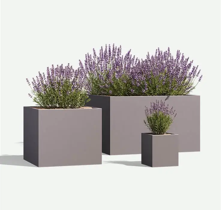 Wilshire-Aluminium-Squares-plants-F2F4F2