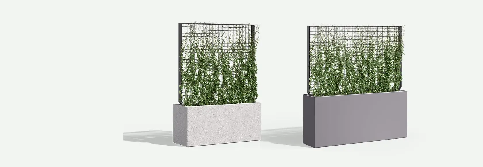Wilshire-GS-trellis-sm-banner-group