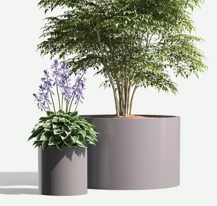Wilshire_Alum_round_group_w_plants_F2F4F2