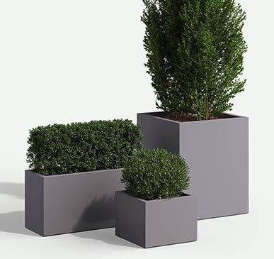 WilshireFRP-rectangle-group-pl-F2F4F2-t