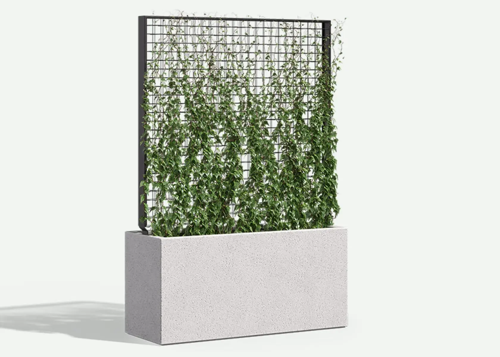 WilshireGFRC-840x598-GS-trellis-WCX2-481824-74-F2F4F2