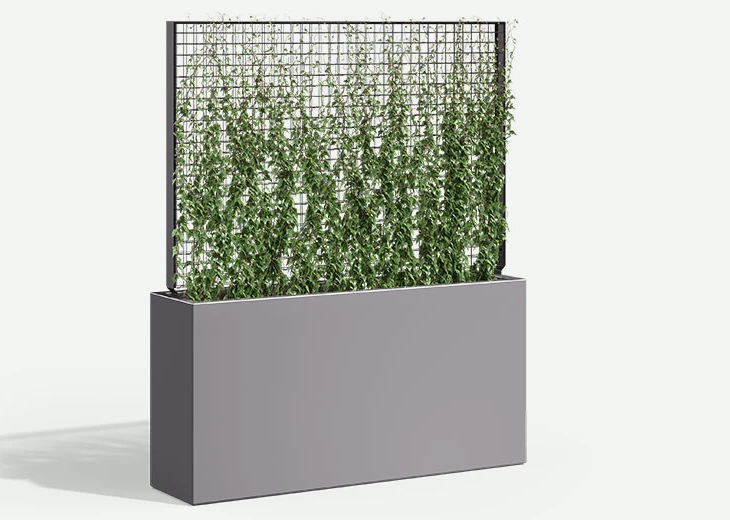 WlishireFRP-738x520-GS-trellis-WX2-721836-86-F2F4F2