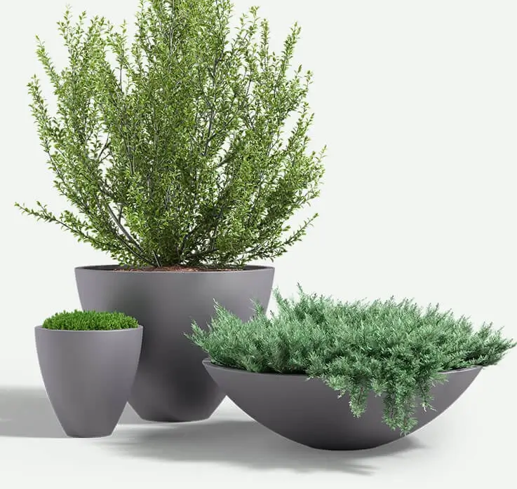Zena_FRP_Group_w_plants_F2F4F2